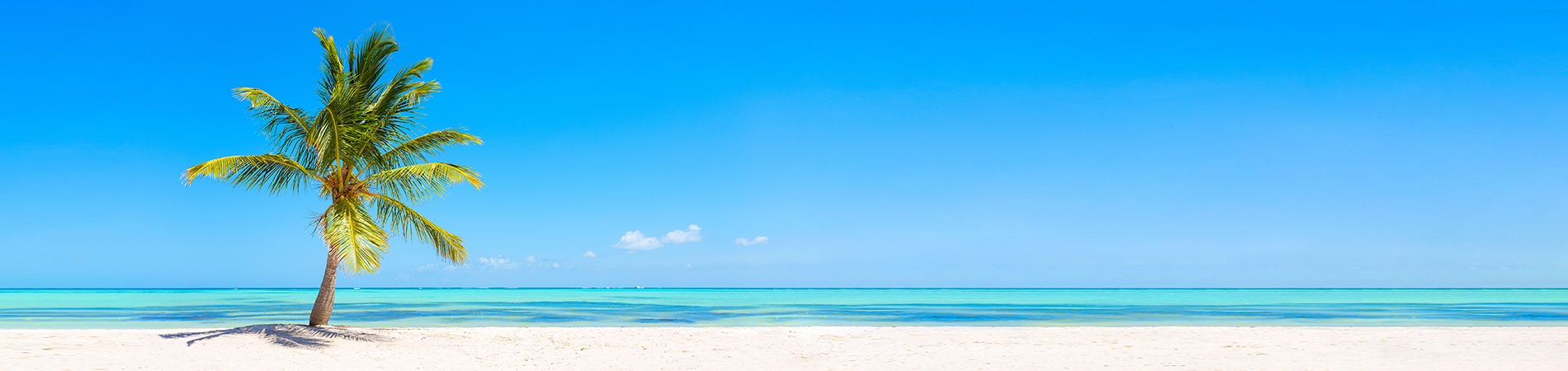 Isabella Vacation Rentals Hero Image